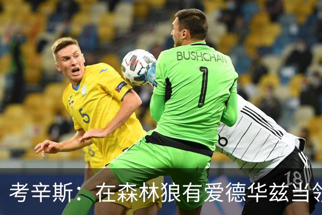 考辛斯：在森林狼有爱德华兹当领袖 三球能得到成长并且更成熟